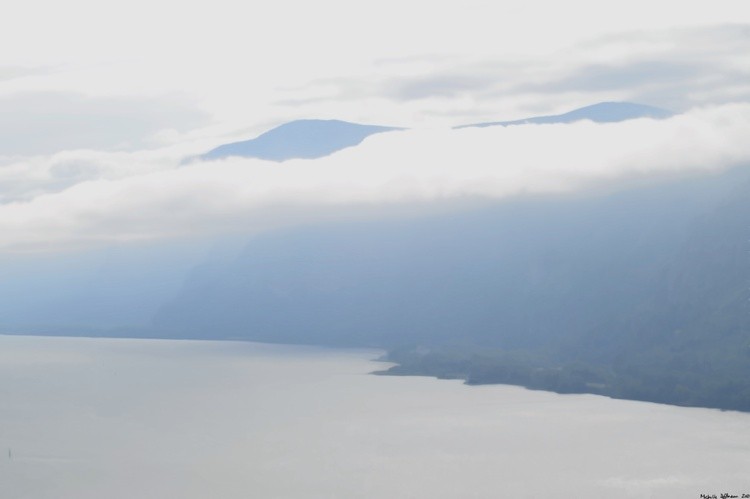 Mountains In The Mist