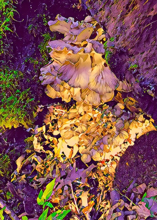 Forest Treasure