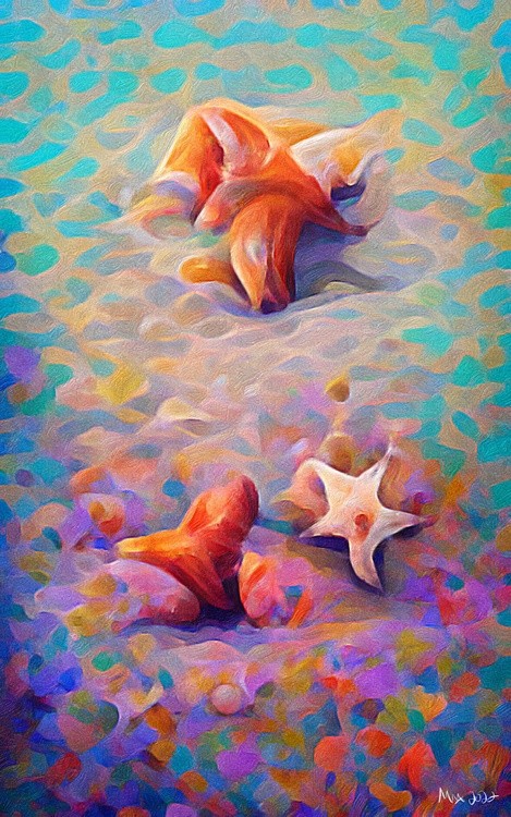 Conch shells