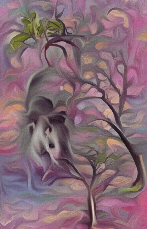 Furry Tailed Tree Rat