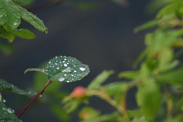 The Calm After the Storm