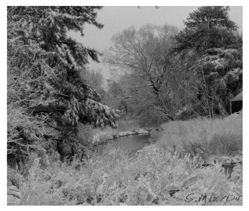 Snowy Day 2