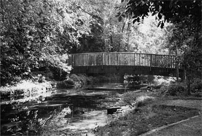 The bridge