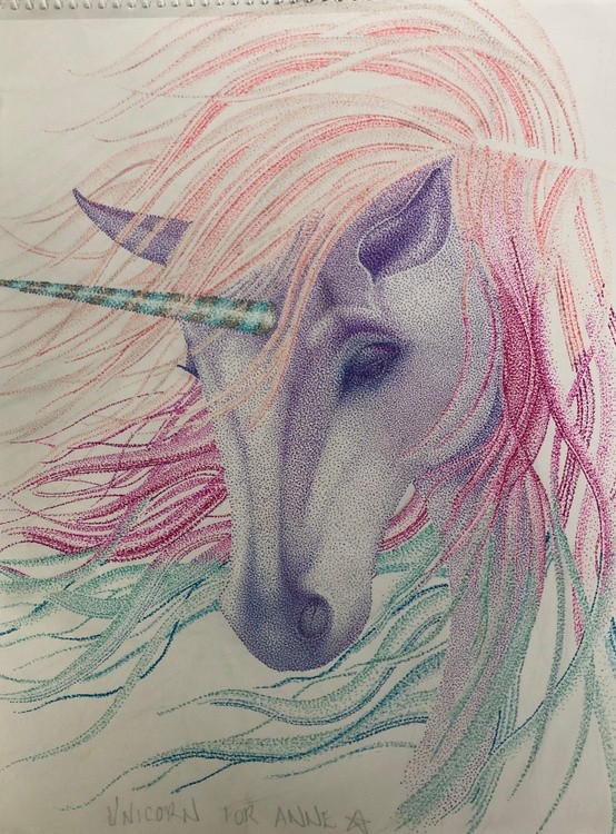 Anne’s Unicorn