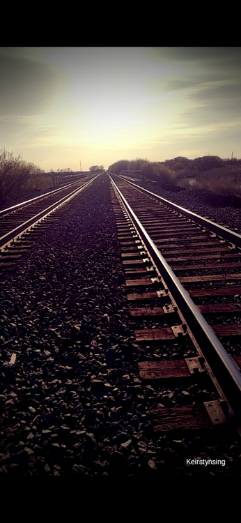 Old Maple Tracks 