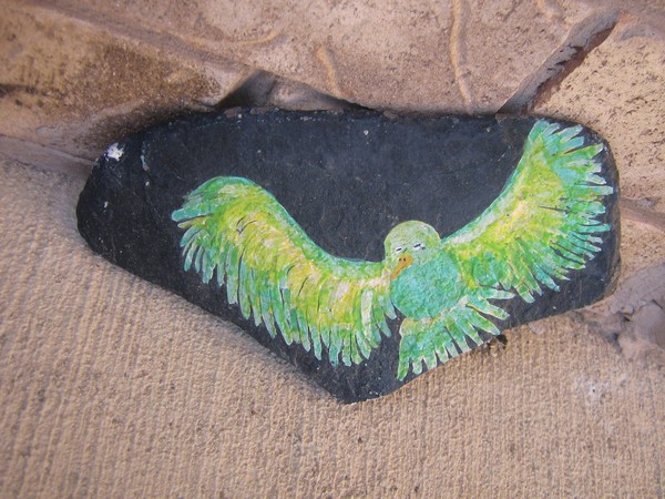 Zhang'z Bird