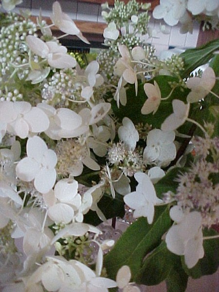 White Flora A1