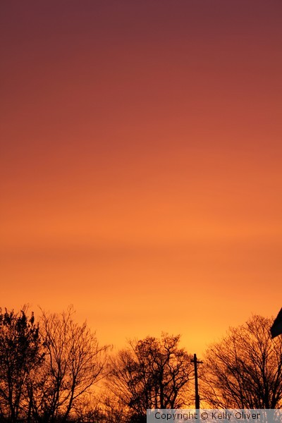 Pumpkin Sky