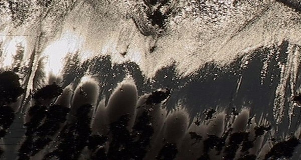 281. Tide line in long light; contrejour
