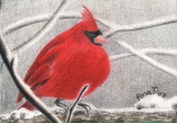 Winter Cardinal - ACEO