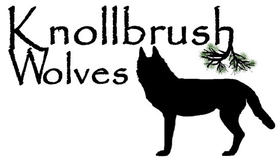 Knollbrush Wolves Promo Play