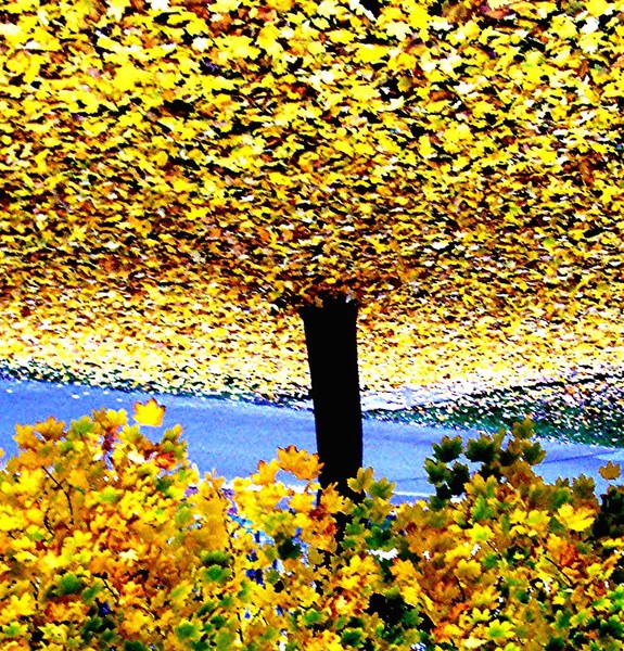 The yellow ceiling