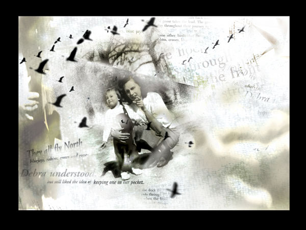 birds