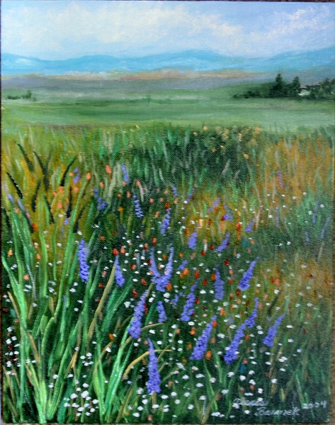 Delphiniums