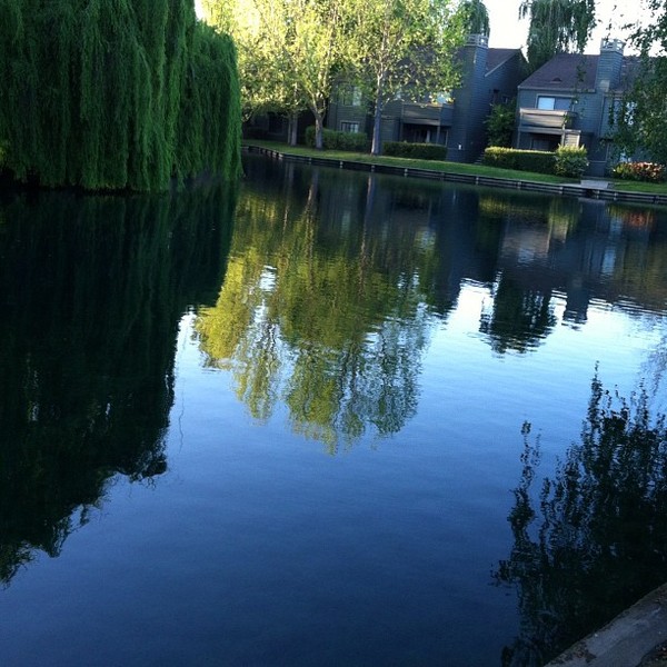 Spring Evening Reflection
