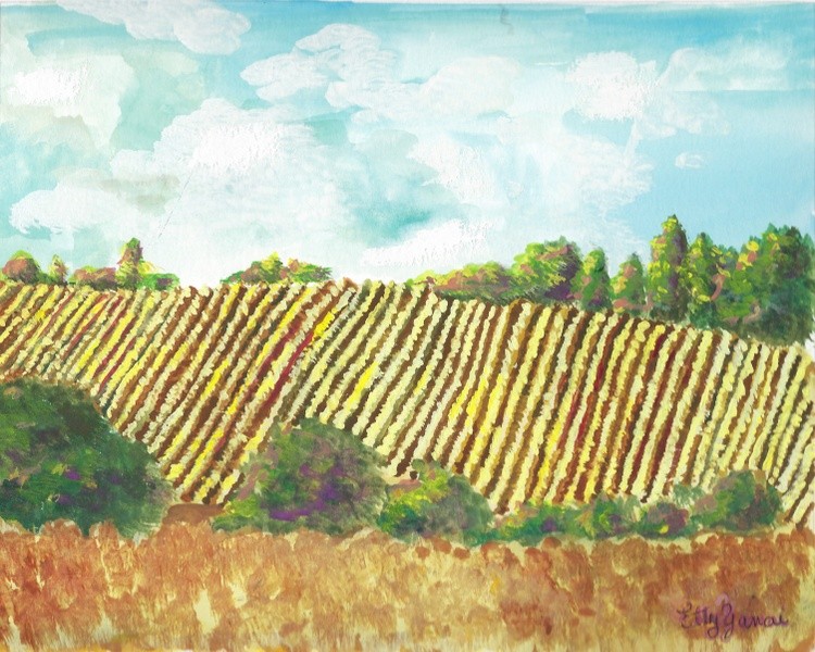 Dormant Vinyard  