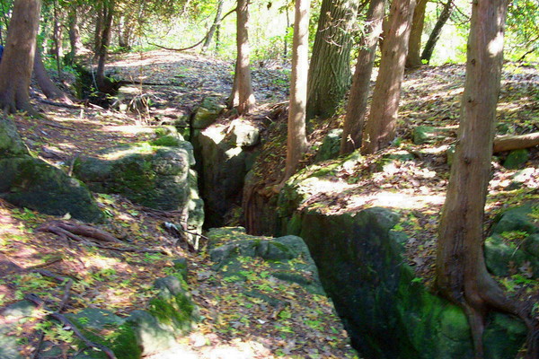 Crevice