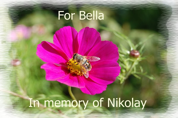 Tribute to Nikolay