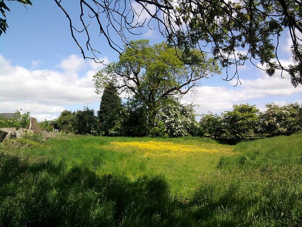 English countryside 2