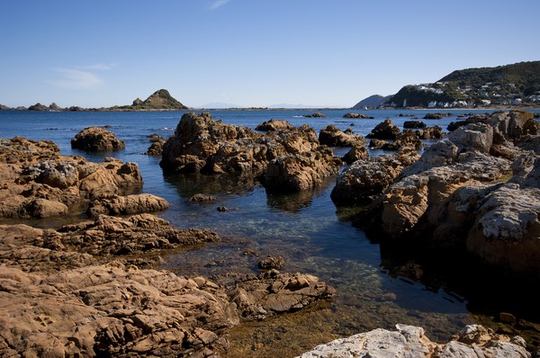 Island Bay in Wellington