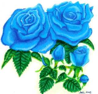 Bluegirl