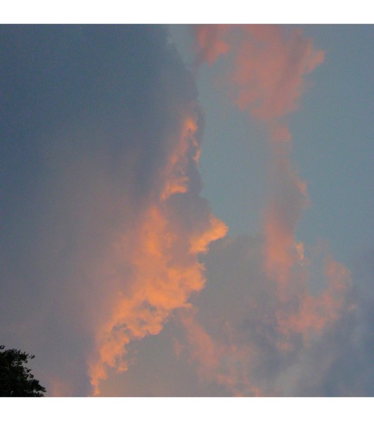 What Do you See?