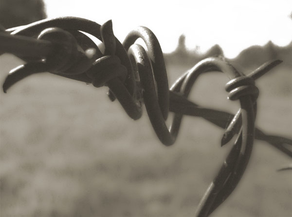Coiled