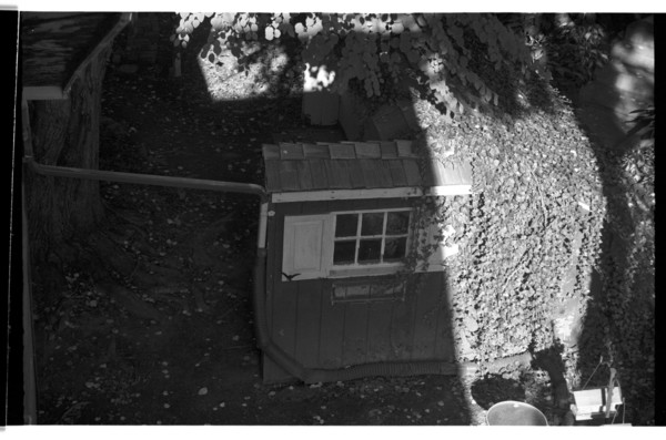 Outside my attic window