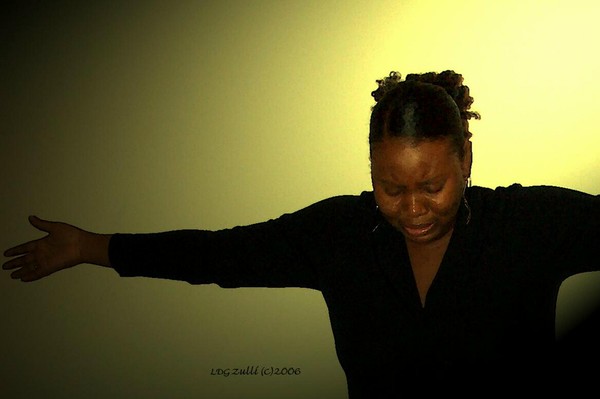 THE SOJOURNER XX
