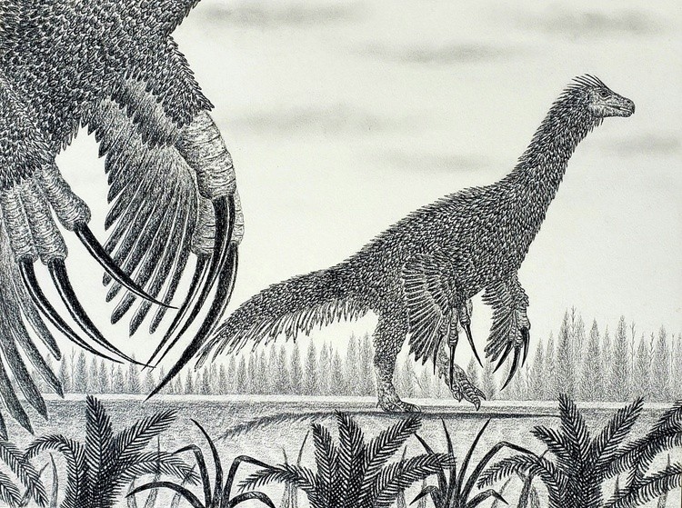 A Therizinosaurus Pair in the Late Cretaceous 