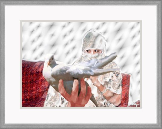 White dove' s dream