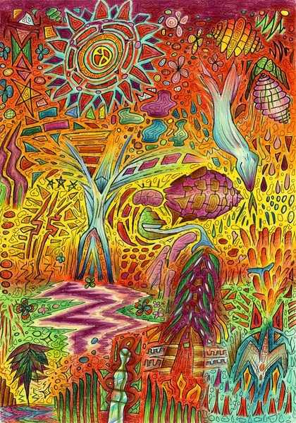 Rainforest sketch 2002