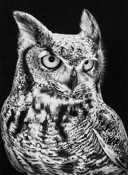 Great Horned Owl