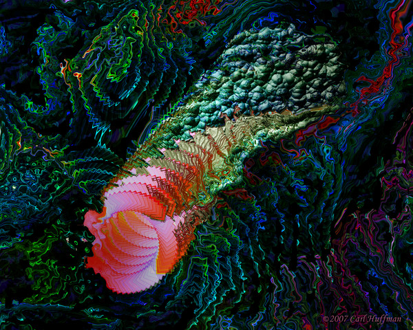 An Entrance to Digestion
