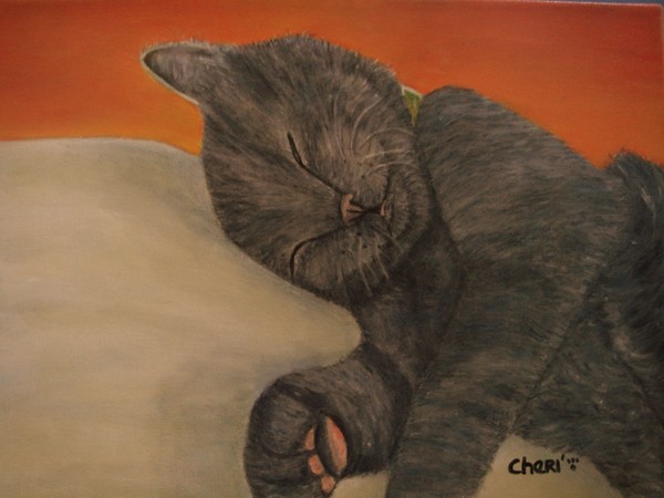 Sunrise Sleeper