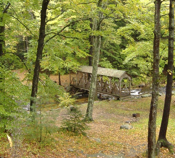 The Bridge