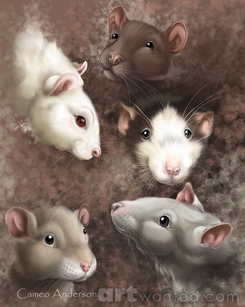 Rattastic