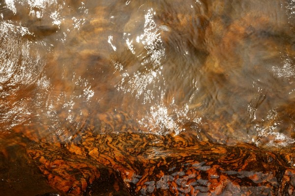 Orange Waves