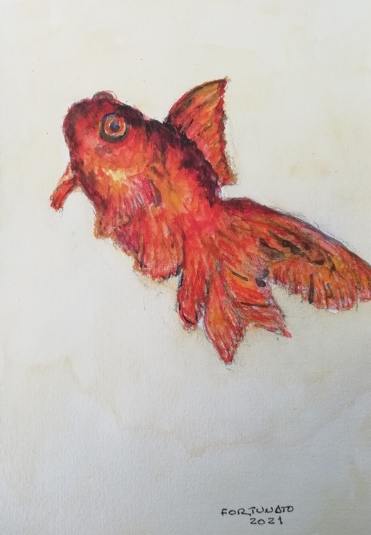 Peixinho Vermelho em água benta