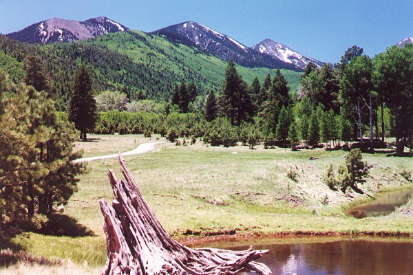 Lockett Meadow