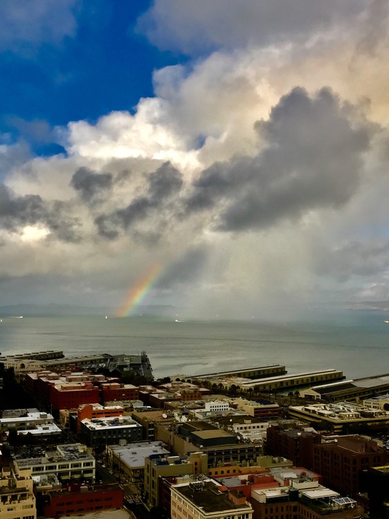Bay Rainbow