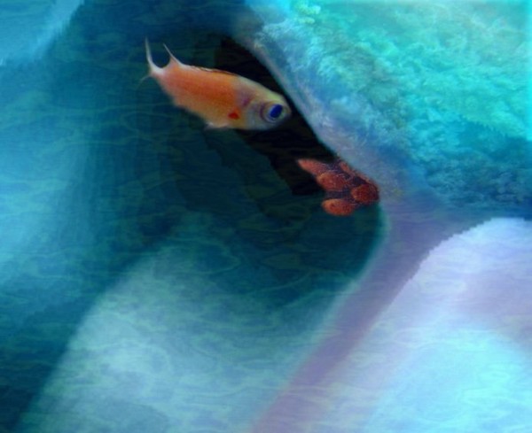 Under Water