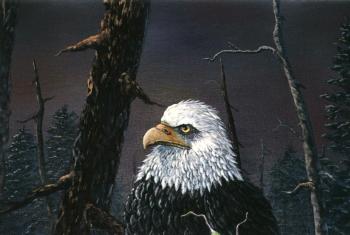 King of the Forest