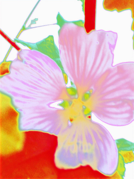 flower power