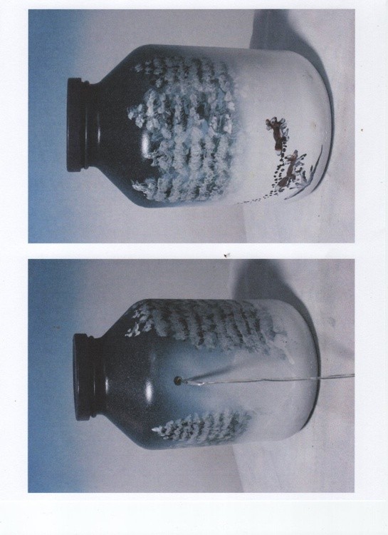 Scan-4