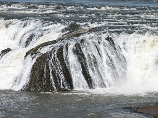 Albany Waterfall