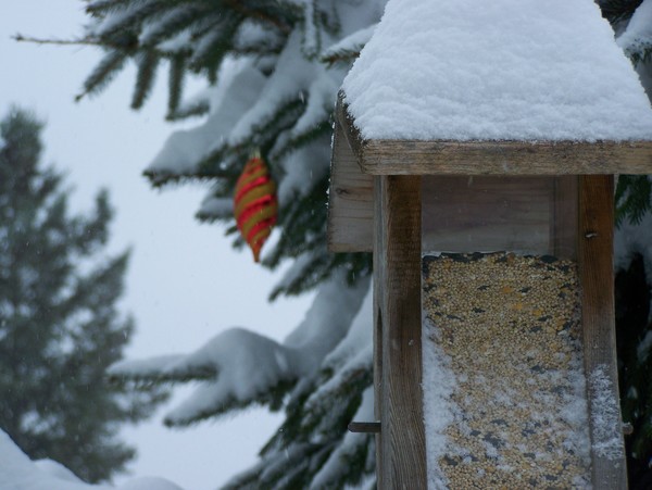 Winters Day