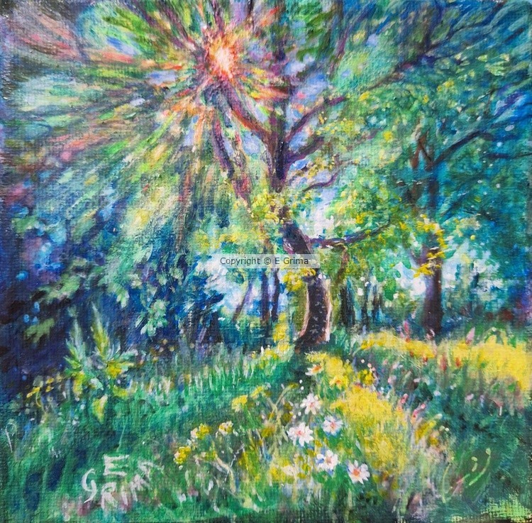 Sunlit Bloom 