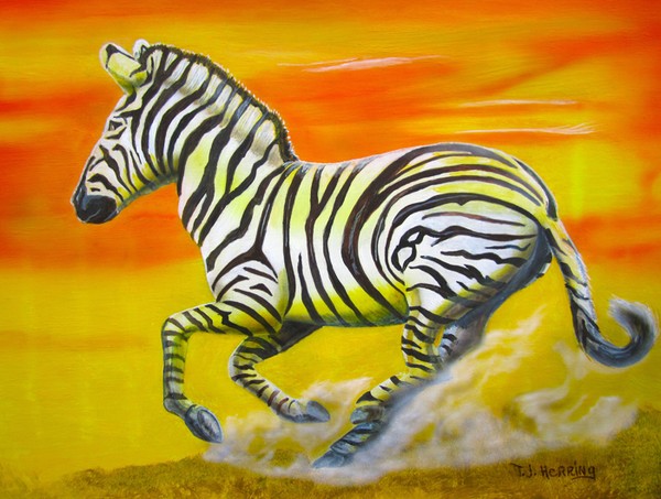 Zebra Kicking up Dust