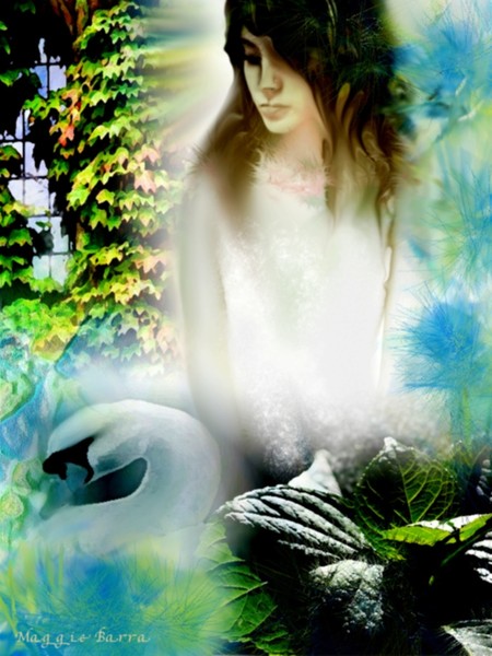 Anne And The Swan